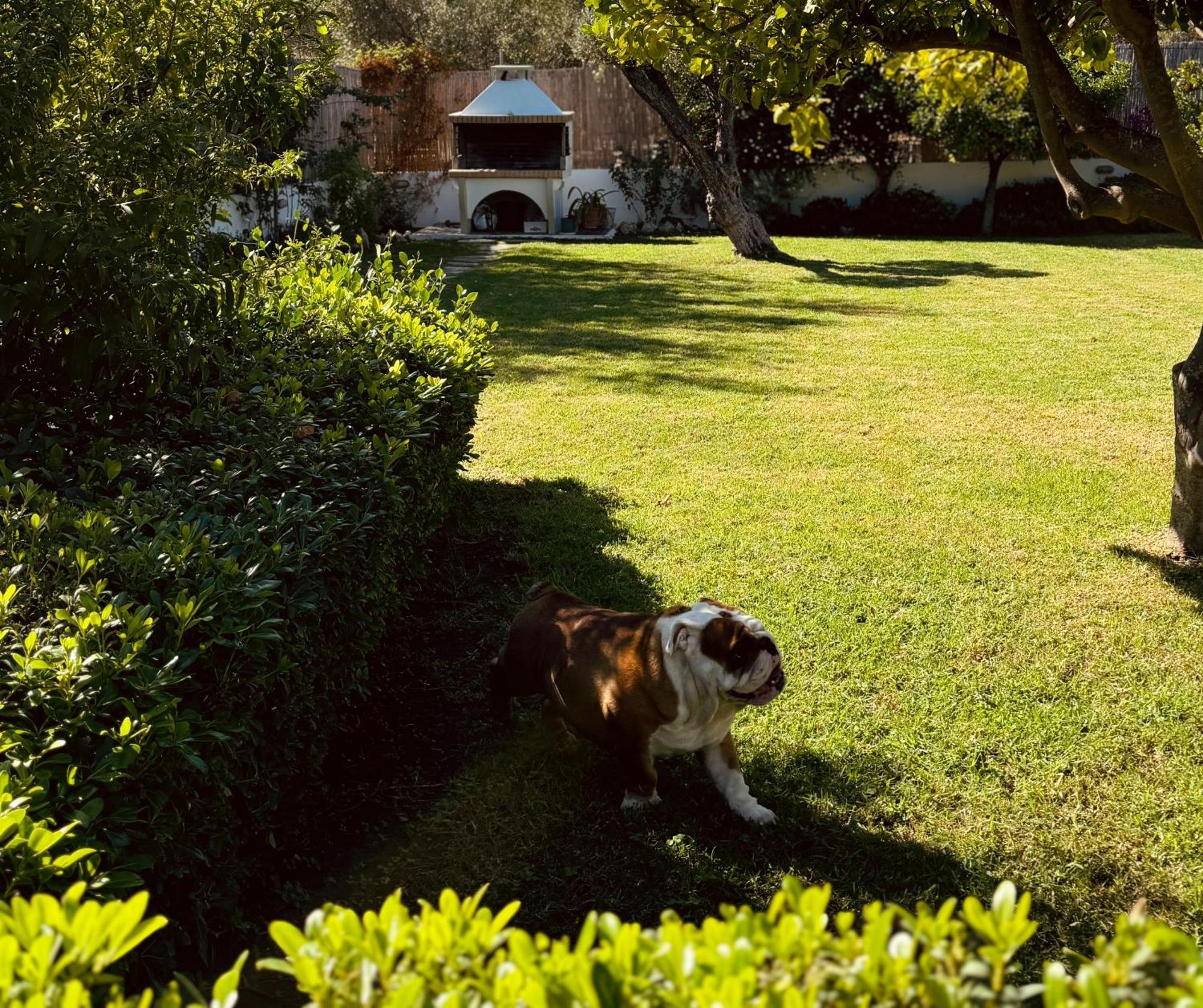 Archangelos Garden House Archangelos (Rhodes) Exterior foto